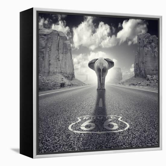 Get Your Tricks-Luis Beltran-Framed Premier Image Canvas