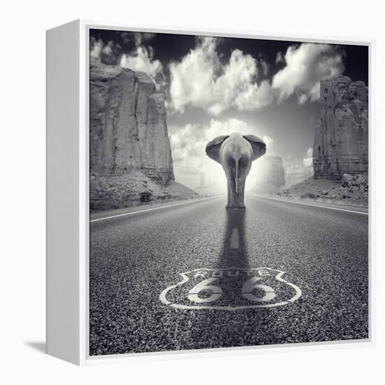 Get Your Tricks-Luis Beltran-Framed Premier Image Canvas