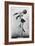 Getty Jassonne, French Ballet Dancer, C1936-C1939-null-Framed Giclee Print