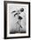 Getty Jassonne, French Ballet Dancer, C1936-C1939-null-Framed Giclee Print