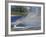 Geyser along Firehole River, Yellowstone National Park, Wyoming, USA-William Sutton-Framed Photographic Print