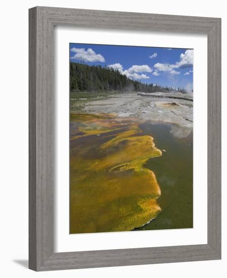 Geyser Hill, Upper Geyser Basin, Yellowstone National Park, Wyoming, USA-Neale Clarke-Framed Photographic Print