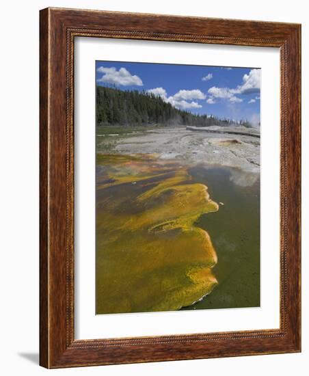 Geyser Hill, Upper Geyser Basin, Yellowstone National Park, Wyoming, USA-Neale Clarke-Framed Photographic Print