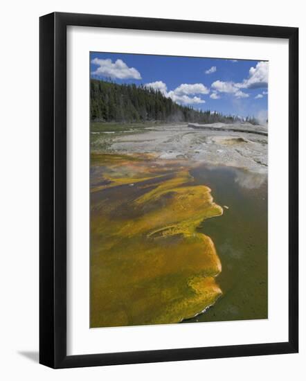 Geyser Hill, Upper Geyser Basin, Yellowstone National Park, Wyoming, USA-Neale Clarke-Framed Photographic Print