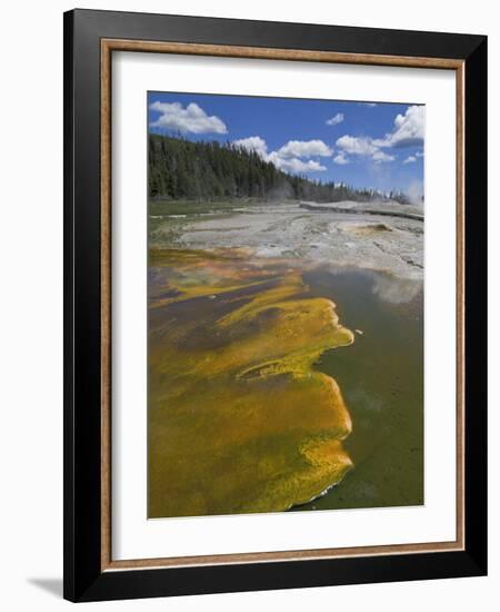 Geyser Hill, Upper Geyser Basin, Yellowstone National Park, Wyoming, USA-Neale Clarke-Framed Photographic Print