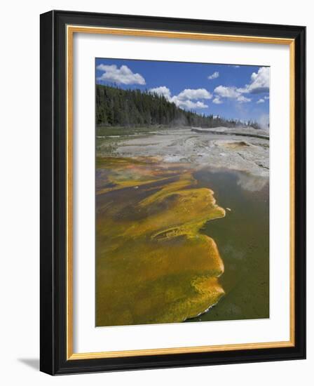 Geyser Hill, Upper Geyser Basin, Yellowstone National Park, Wyoming, USA-Neale Clarke-Framed Photographic Print