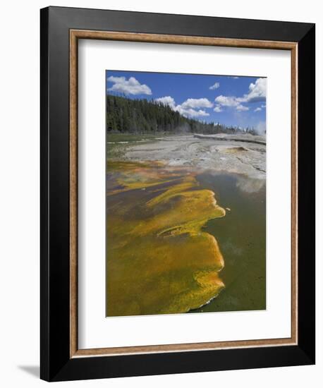 Geyser Hill, Upper Geyser Basin, Yellowstone National Park, Wyoming, USA-Neale Clarke-Framed Photographic Print