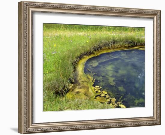 Geyser Pool, Yellowstone National Park, Wyoming, USA-William Sutton-Framed Photographic Print