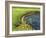 Geyser Pool, Yellowstone National Park, Wyoming, USA-William Sutton-Framed Photographic Print