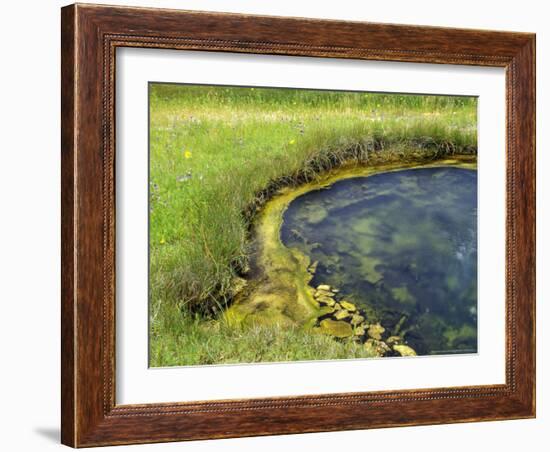 Geyser Pool, Yellowstone National Park, Wyoming, USA-William Sutton-Framed Photographic Print