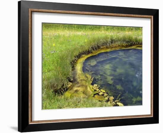 Geyser Pool, Yellowstone National Park, Wyoming, USA-William Sutton-Framed Photographic Print