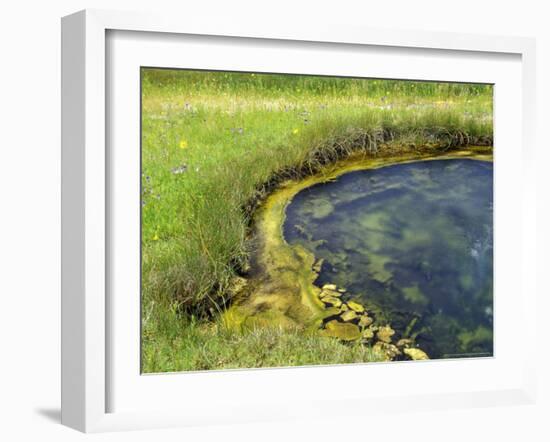 Geyser Pool, Yellowstone National Park, Wyoming, USA-William Sutton-Framed Photographic Print