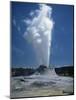 Geyser, Yellowstone National Park, Unesco World Heritage Site, Wyoming, USA-Tony Waltham-Mounted Photographic Print