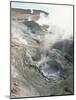 Geysers and Boiling Mud, Sol De Mamama Geyser, Altiplano, Bolivia-Doug Allan-Mounted Photographic Print