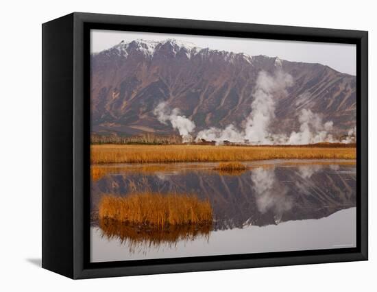 Geysers and Fumeroles of the Uzon Volcano, Kronotsky Zapovednik Reserve, Kamchatka, Russia-Igor Shpilenok-Framed Premier Image Canvas