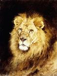 The Head of a Lion-Geza Vastagh-Giclee Print
