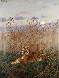 Tiger in the Rushes-Geza Vastagh-Framed Giclee Print