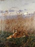 Tiger in the Rushes-Geza Vastagh-Mounted Giclee Print