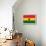 Ghana Flag Design with Wood Patterning - Flags of the World Series-Philippe Hugonnard-Framed Stretched Canvas displayed on a wall