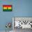 Ghana Flag Design with Wood Patterning - Flags of the World Series-Philippe Hugonnard-Framed Stretched Canvas displayed on a wall