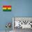 Ghana Flag Design with Wood Patterning - Flags of the World Series-Philippe Hugonnard-Premium Giclee Print displayed on a wall