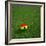 Ghanaian Soccerball Lying on Grass-zentilia-Framed Art Print