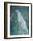 Ghost Birds-Tim Nyberg-Framed Giclee Print