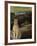 Ghost Cat-Leah Saulnier-Framed Giclee Print