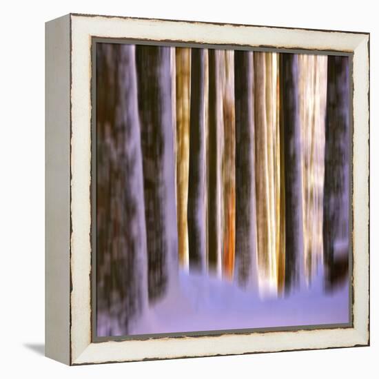 Ghost Dance-Philippe Sainte-Laudy-Framed Premier Image Canvas