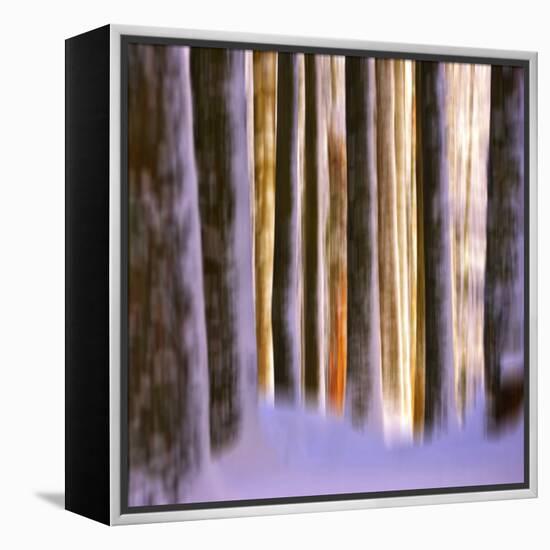 Ghost Dance-Philippe Sainte-Laudy-Framed Premier Image Canvas
