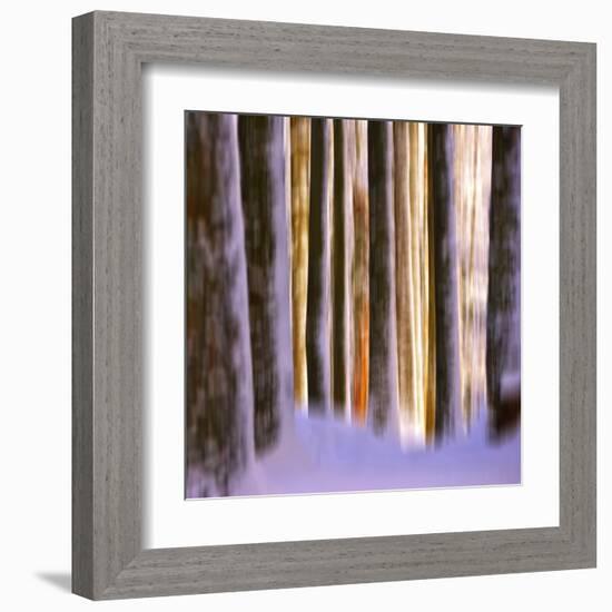 Ghost Dance-Philippe Sainte-Laudy-Framed Premium Photographic Print