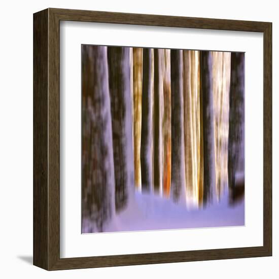 Ghost Dance-Philippe Sainte-Laudy-Framed Premium Photographic Print