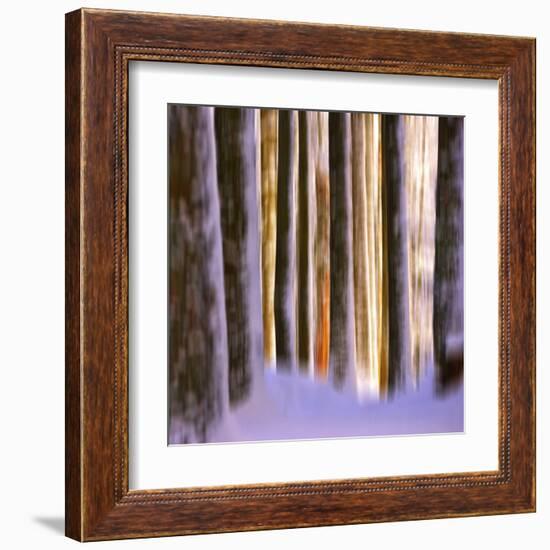 Ghost Dance-Philippe Sainte-Laudy-Framed Premium Photographic Print