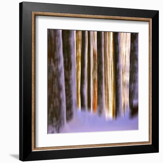 Ghost Dance-Philippe Sainte-Laudy-Framed Premium Photographic Print