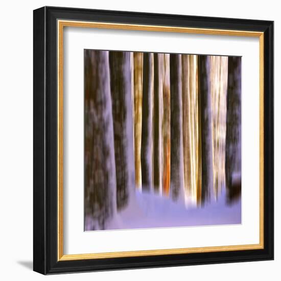 Ghost Dance-Philippe Sainte-Laudy-Framed Premium Photographic Print