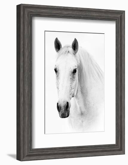 Ghost Equus-null-Framed Premium Giclee Print