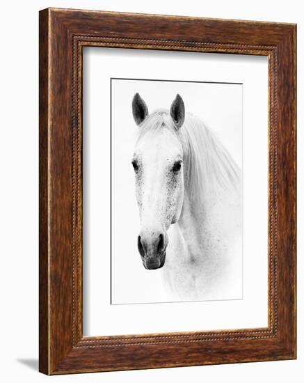 Ghost Equus-null-Framed Premium Giclee Print