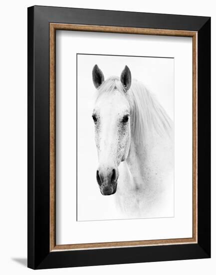 Ghost Equus-null-Framed Premium Giclee Print