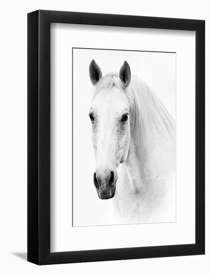 Ghost Equus-null-Framed Premium Giclee Print