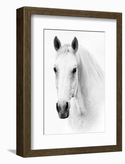 Ghost Equus-null-Framed Premium Giclee Print