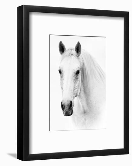 Ghost Equus-null-Framed Art Print