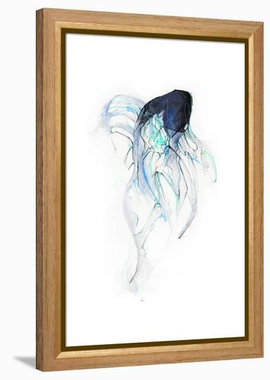 Ghost Fish-Alexis Marcou-Framed Stretched Canvas