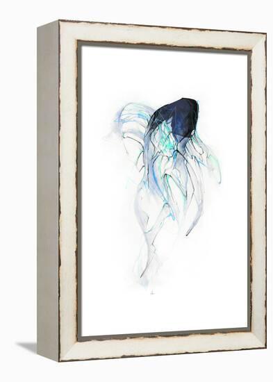 Ghost Fish-Alexis Marcou-Framed Stretched Canvas