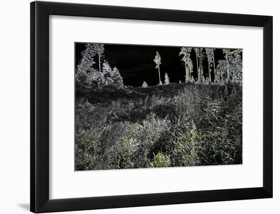 ghost forest,2017-Alex Caminker-Framed Giclee Print