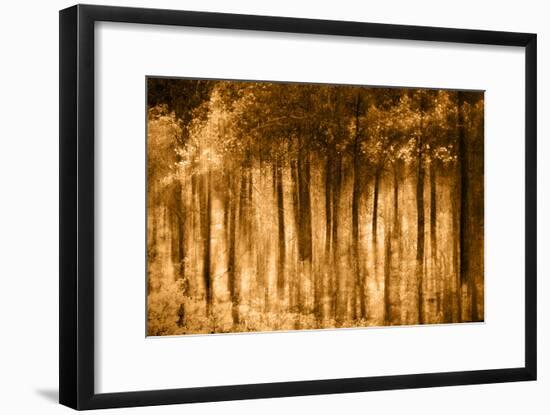 Ghost Forest-Autumn-Ursula Abresch-Framed Photographic Print