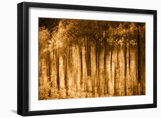 Ghost Forest-Autumn-Ursula Abresch-Framed Photographic Print