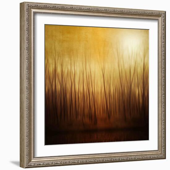 Ghost Forest-Philippe Sainte-Laudy-Framed Photographic Print