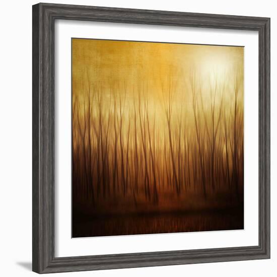 Ghost Forest-Philippe Sainte-Laudy-Framed Photographic Print