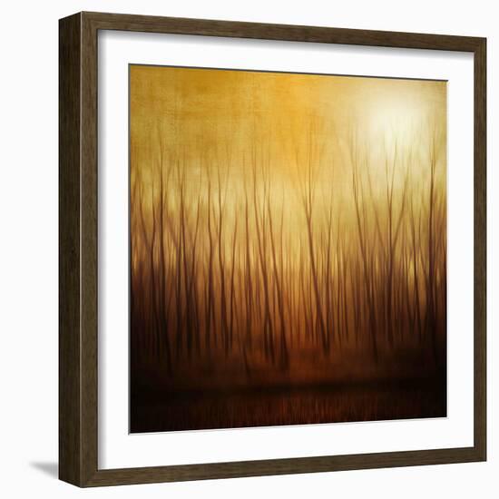Ghost Forest-Philippe Sainte-Laudy-Framed Photographic Print
