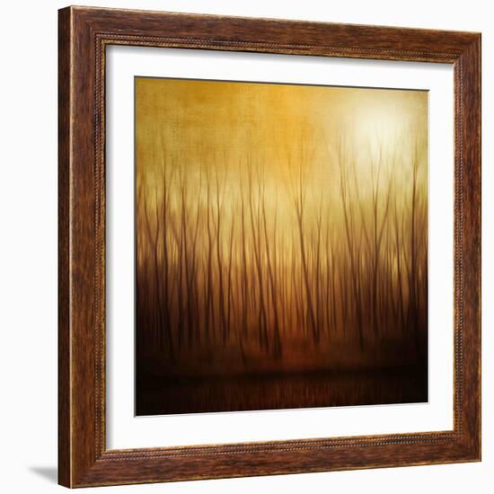 Ghost Forest-Philippe Sainte-Laudy-Framed Photographic Print